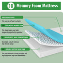 Coreopsis 10" Full Memory Foam Wave Comfort