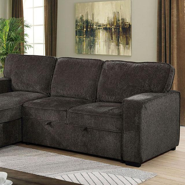 INES Sectional image