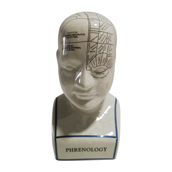 Porcelain, 10" Phrenology Bust, White image