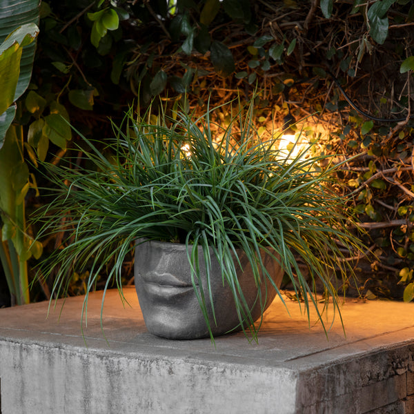 Decorative Resin Face Flower Pot, Cement image