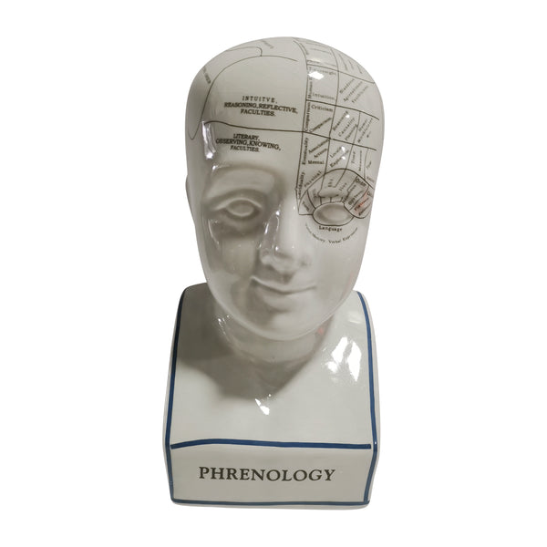 Porcelain, 12" Phrenology Bust, White image